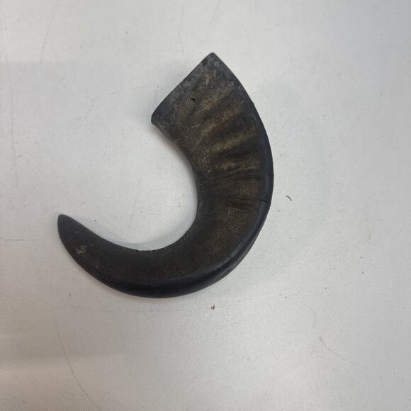 NEW Beautiful 13" Black Polished Shofar (Ram's Horn) FAST SHIPPING DAMAGED LIP - Picture 1 of 8